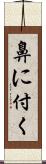 鼻に付く Scroll