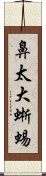 鼻太大蜥蜴 Scroll