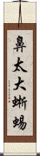 鼻太大蜥蜴 Scroll