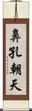 鼻孔朝天 Scroll