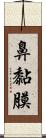 鼻黏膜 Scroll