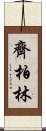 齊柏林 Scroll