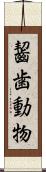 齧歯動物 Scroll