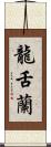 龍舌蘭 Scroll