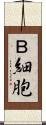 Ｂ細胞 Scroll