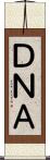 ＤＮＡ Scroll