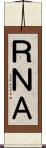 ＲＮＡ Scroll