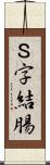 Ｓ字結腸 Scroll