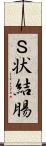 Ｓ状結腸 Scroll