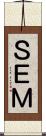 ＳＥＭ Scroll