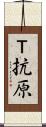 Ｔ抗原 Scroll