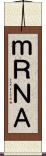 ｍＲＮＡ Scroll