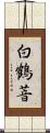 White Crane Nunnery Scroll
