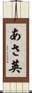 あさ英 Scroll