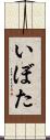 いぼた Scroll
