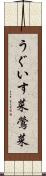 うぐいす菜 Scroll
