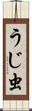 うじ虫 Scroll