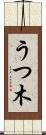 うつ木 Scroll