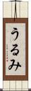 うるみ Scroll