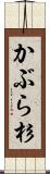 かぶら杉 Scroll
