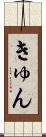 きゅん Scroll