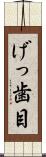 げっ歯目 Scroll