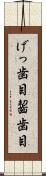 げっ歯目 Scroll
