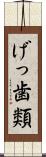 げっ歯類 Scroll