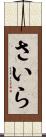 さいら Scroll