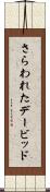 さらわれたデービッド Scroll