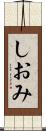 しおみ Scroll