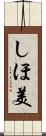 しほ美 Scroll