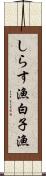 しらす漁 Scroll