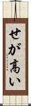 せが高い Scroll