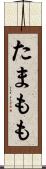 たまもも Scroll