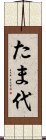 たま代 Scroll