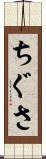 ちぐさ Scroll