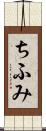 ちふみ Scroll