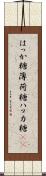はっか糖 Scroll