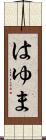 はゆま Scroll