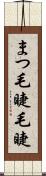 まつ毛 Scroll
