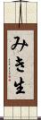 みき生 Scroll