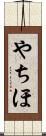 やちほ Scroll