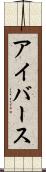 アイバース Scroll