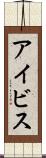 アイビス Scroll
