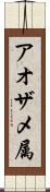 アオザメ属 Scroll