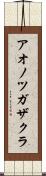 アオノツガザクラ Scroll
