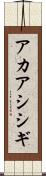 アカアシシギ Scroll