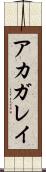 アカガレイ Scroll