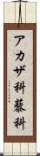 アカザ科 Scroll